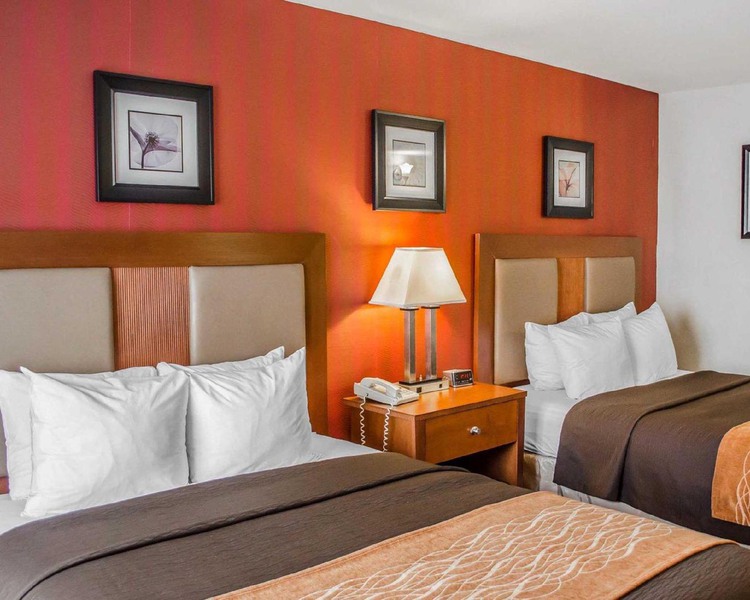 Two beds in room