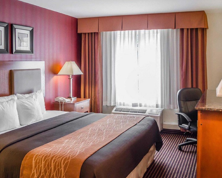 Room with one bed